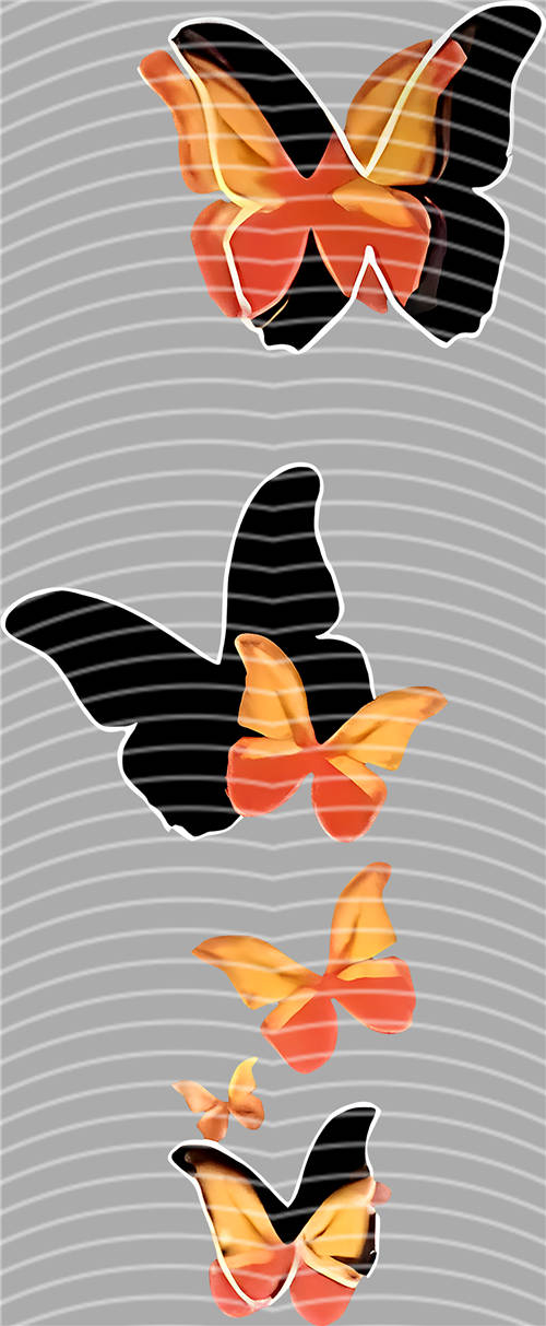 latest edition-KNY 1156